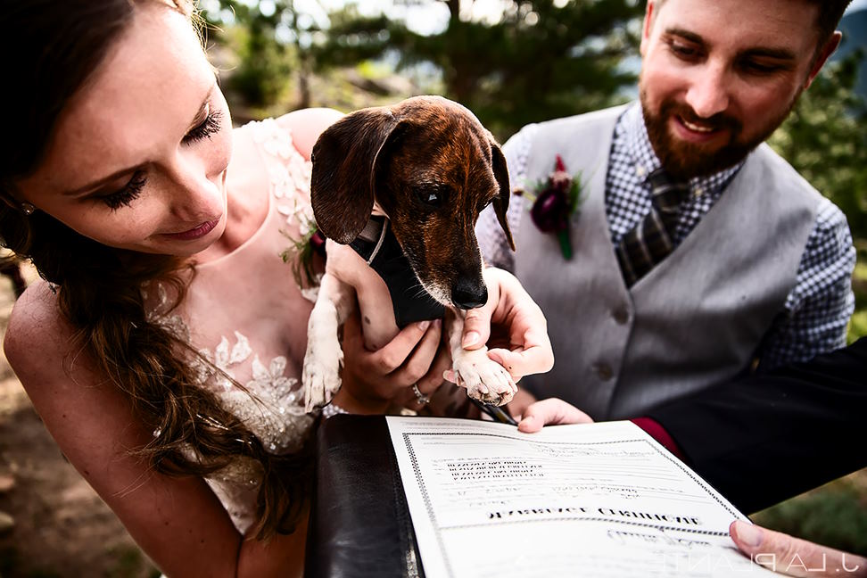 photos with your pet before the ceremony