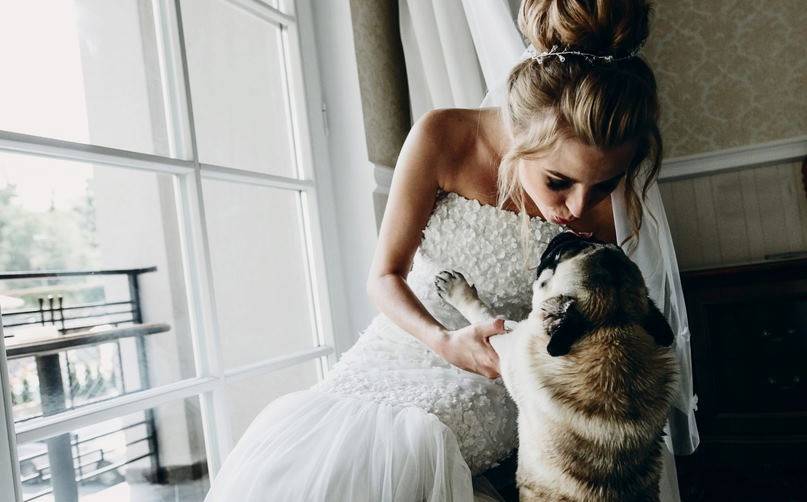 pet owner planning wedding